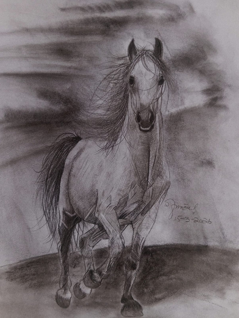 "Gallop in the Mist" – Hand-Drawn Horse Charcoal Study