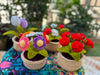 Handmade Crochet Potted Plants Collection – Maintenance-Free Desk Decor & Floral Keepsakes