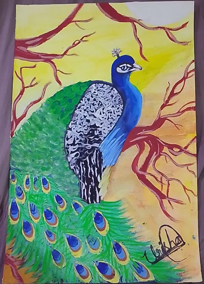 Handpainted Peacock in Full Plumage — Vibrant Acrylic Canvas